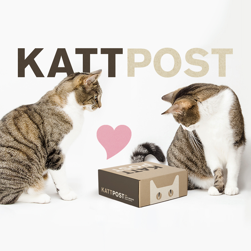 Kattpost