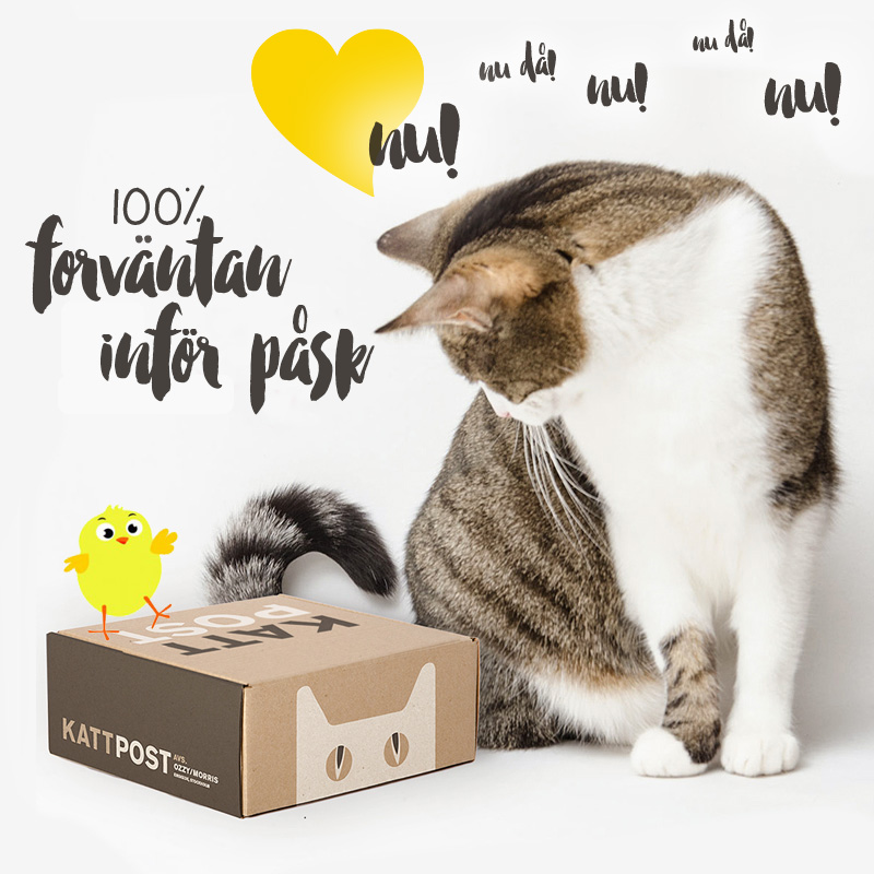 Kattpost påsk